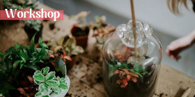 https://www.spaziotempomilano.it/wp-content/uploads/2023/10/BANNER-EVENTBRITE-TERRARIUM-640x320.png